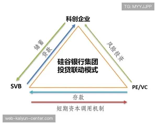 杜埃的技术上限与实际价值是否存在显著落差？